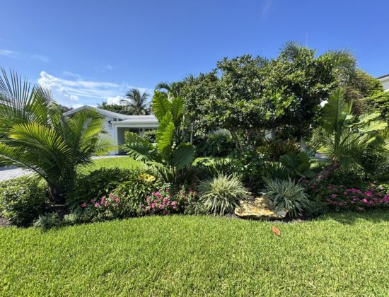 best artificial turf cleaning service boca raton