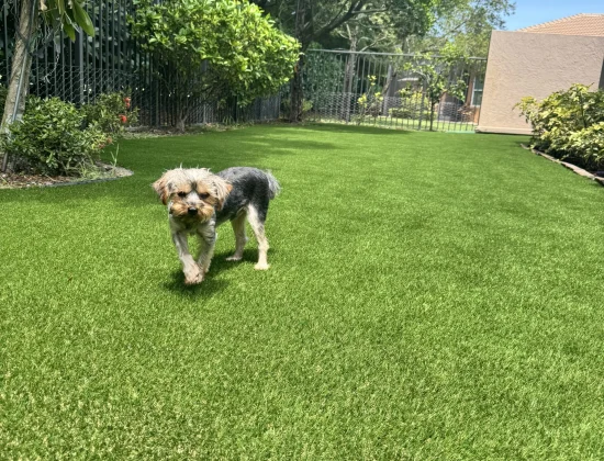 boca raton turf cleaner